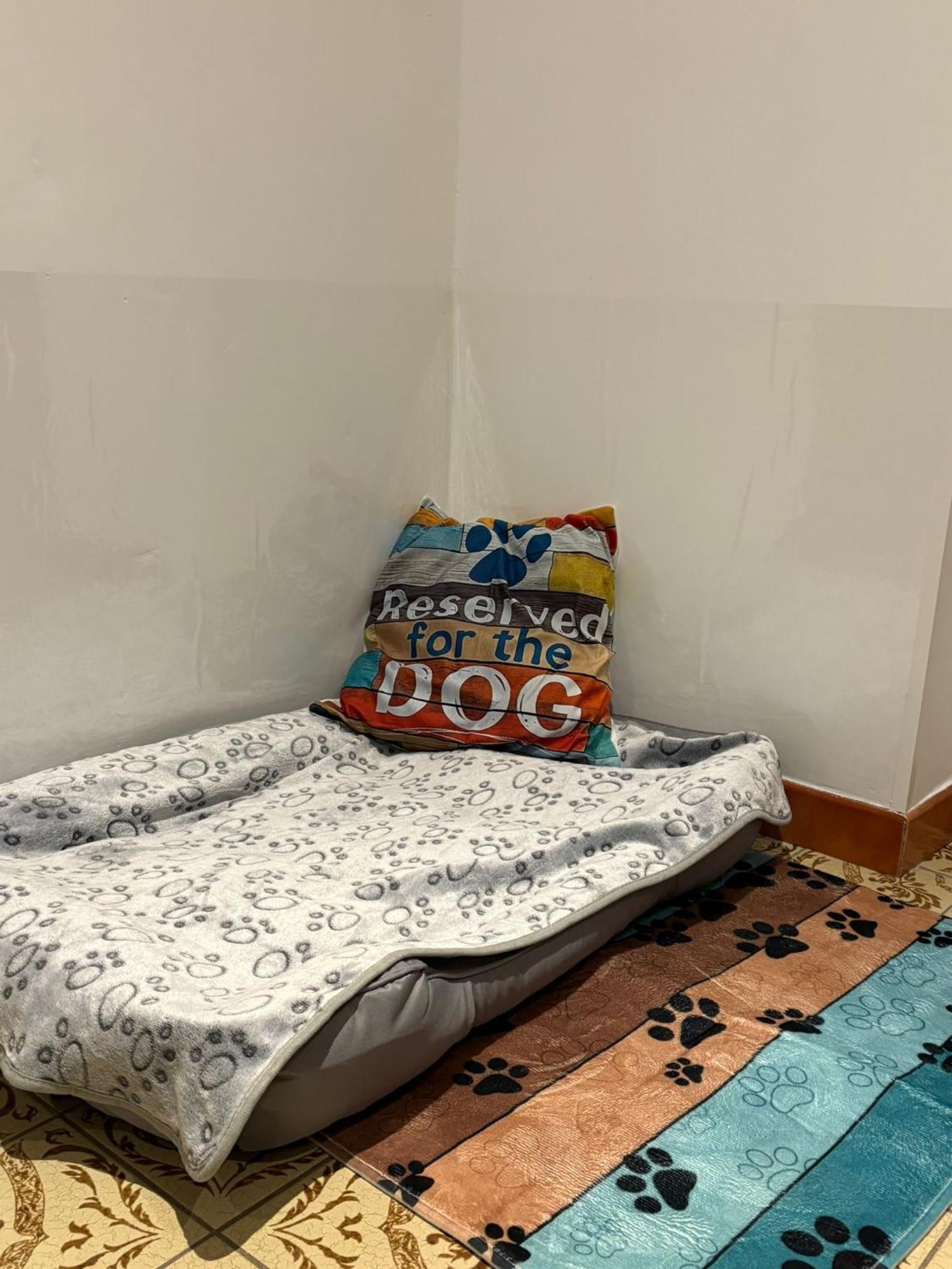 Ferienwohnung Heiabett Wies Εξωτερικό φωτογραφία